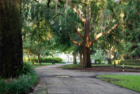 Real Estate News on Savannah S Wonderful Parks   Courtesy Brian Hillegas