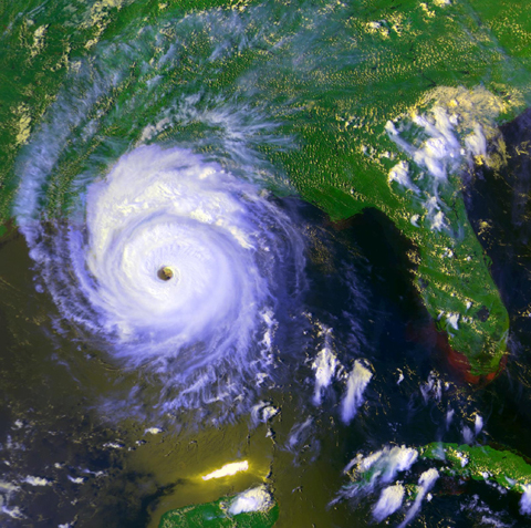 Hurricane Andrew's devastation in 1992 scared many private insurance companies away from Florida.