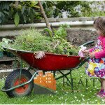 spring landscaping