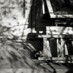 medium_83464214