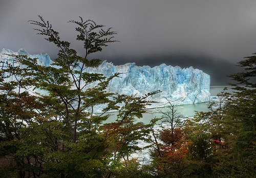 And then I hiked through the Autumn Trees to find the Glacier
