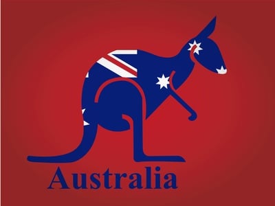 australia kangaroo