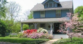 Add Curb Appeal with Fast Growing Trees