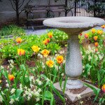 7 Great Backyard Ideas for a Comfortable Ambiance