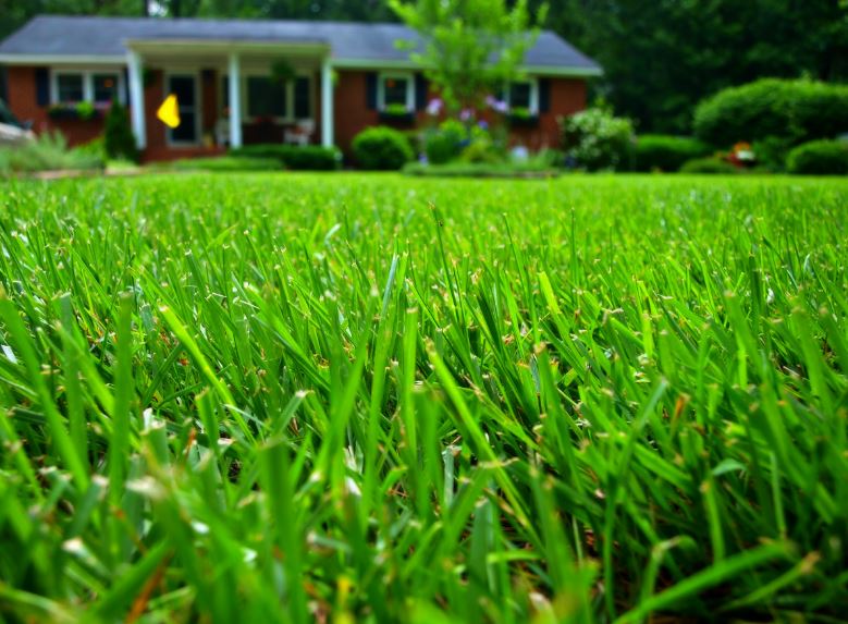 Snow Melting How to Get Your Yard Ready for Spring