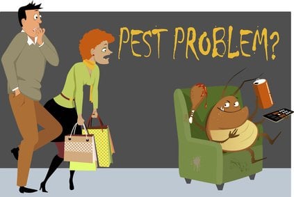 Shocked couple caught a giant cockroach sitting in a chair in their house eating drinking and watching TV as a metaphor for a pest problem EPS 8 vector illustration