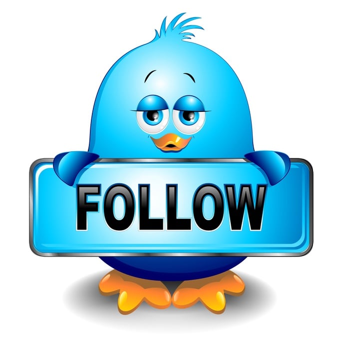 Uccello Passerotto Blu Social Network Blue Bird Follow Vector