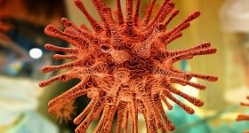 picture of virus