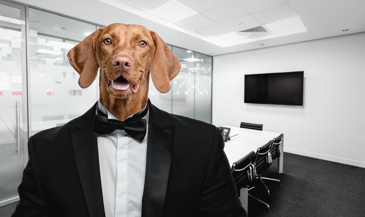 Executives warm to pet-friendly, post-pandemic work spaces