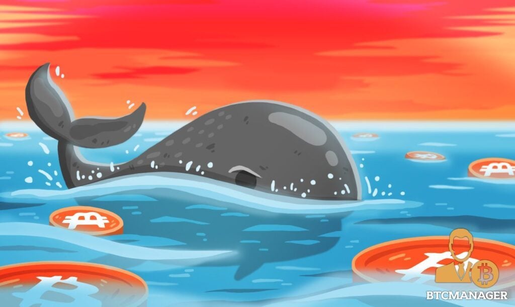 Forensic Researchers Claim a Single Whale Caused the 2017 Bitcoin BTC Spike