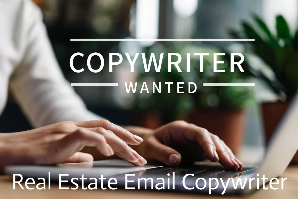 Should I hire a professional email copywriter for my email marketing campaign? Should I hire a professional email copywriter for my email marketing campaign?