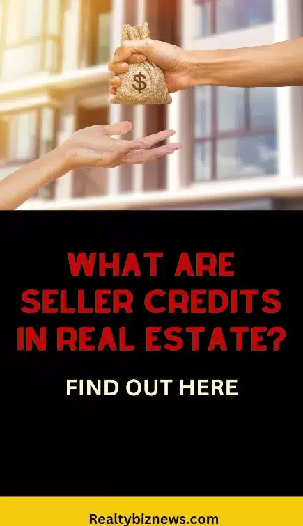 What is a Seller Credit in Real Estate